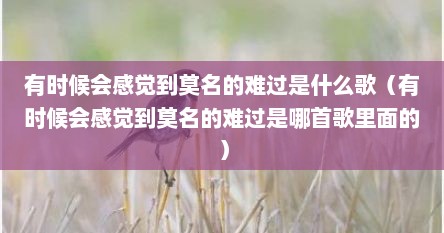 有时候会感觉到莫名的难过是什么歌（有时候会感觉到莫名的难过是哪首歌里面的）