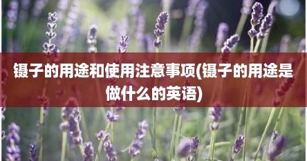 镊子的用途和使用注意事项(镊子的用途是做什么的英语)