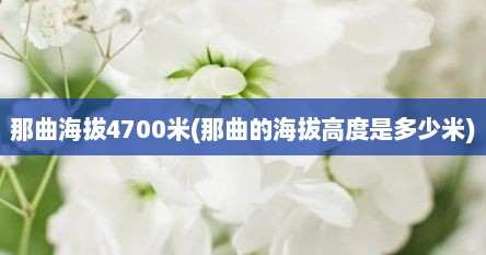 那曲海拔4700米(那曲的海拔高度是多少米)