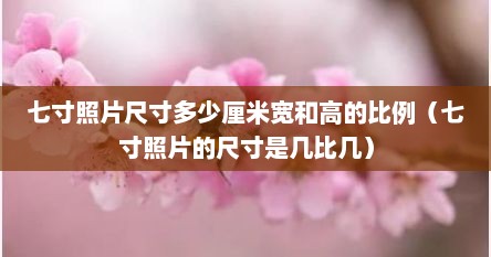 七寸照片尺寸多少厘米宽和高的比例（七寸照片的尺寸是几比几）