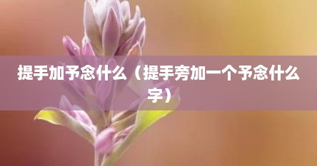 提手加予念什么（提手旁加一个予念什么字）