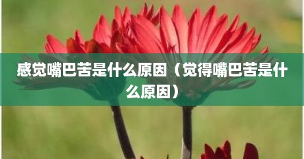 感觉嘴巴苦是什么原因（觉得嘴巴苦是什么原因）