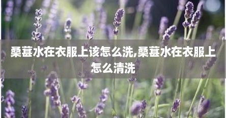 桑葚水在衣服上该怎么洗,桑葚水在衣服上怎么清洗