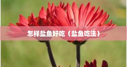 怎样盐鱼好吃（盐鱼吃法）