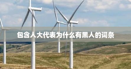包含人大代表为什么有黑人的词条