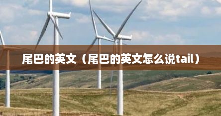 尾巴的英文（尾巴的英文怎么说tail）
