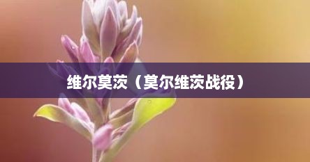 维尔莫茨（莫尔维茨战役）