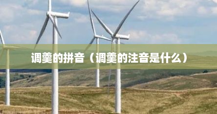 调羹的拼音（调羹的注音是什么）