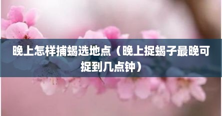 晚上怎样捕蝎选地点（晚上捉蝎子最晚可捉到几点钟）