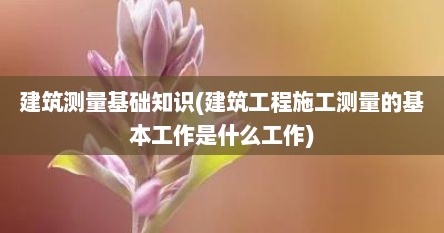 建筑测量基础知识(建筑工程施工测量的基本工作是什么工作)