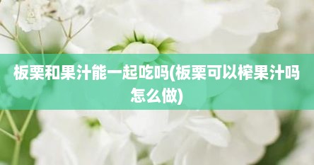 板栗和果汁能一起吃吗(板栗可以榨果汁吗怎么做)