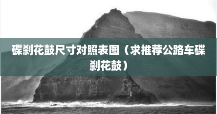 碟刹花鼓尺寸对照表图（求推荐公路车碟刹花鼓）