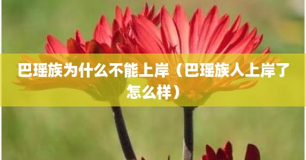 巴瑶族为什么不能上岸（巴瑶族人上岸了怎么样）