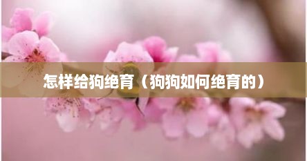 怎样给狗绝育（狗狗如何绝育的）