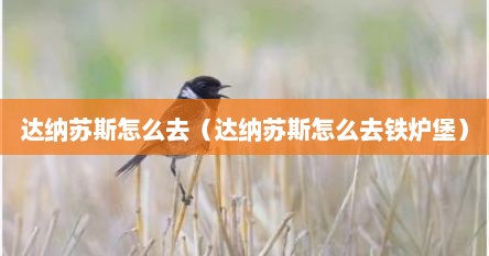 达纳苏斯怎么去（达纳苏斯怎么去铁炉堡）