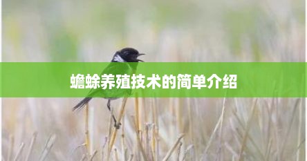 蟾蜍养殖技术的简单介绍