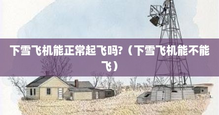 下雪飞机能正常起飞吗?（下雪飞机能不能飞）