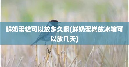 鲜奶蛋糕可以放多久啊(鲜奶蛋糕放冰箱可以放几天)