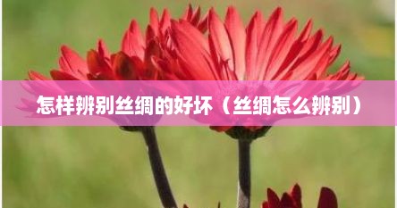 怎样辨别丝绸的好坏（丝绸怎么辨别）