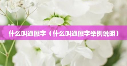 什么叫通假字（什么叫通假字视频讲解）