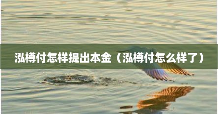 泓樽付怎样提出本金（泓樽付怎么样了）