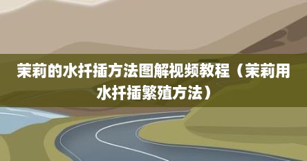 茉莉的水扦插方法图解视频教程（茉莉用水扦插繁殖方法）