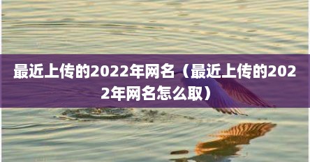 最近上传的2022年网名（最近上传的2022年网名怎么取）