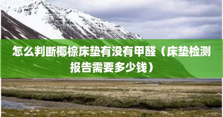 怎么判断椰棕床垫有没有甲醛（床垫检测报告需要多少钱）