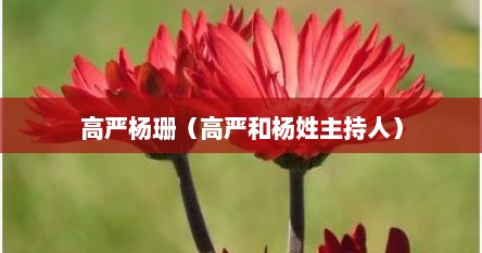高严杨珊（高严和杨姓主持人）