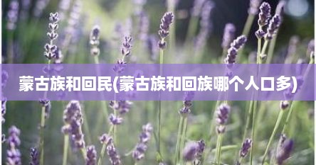蒙古族和回民(蒙古族和回族哪个人口多)