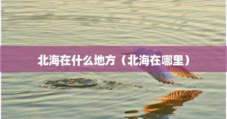 北海在什么地方（北海在哪里）