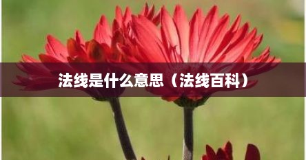 法线是什么意思（法线百科）