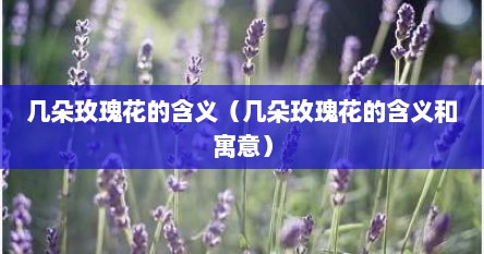 几朵玫瑰花的含义（几朵玫瑰花的含义和寓意）