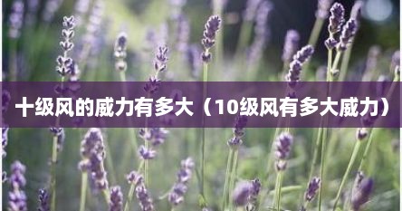 十级风的威力有多大（10级风有多大威力）