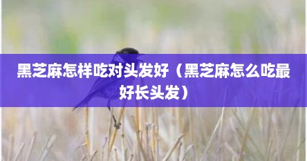 黑芝麻怎样吃对头发好（黑芝麻怎么吃最好长头发）