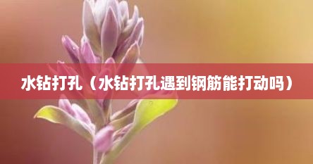 水钻打孔（水钻打孔遇到钢筋能打动吗）