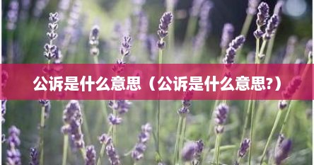 公诉是什么意思（公诉是什么意思?）