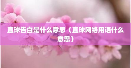 直球告白是什么意思（直球网络用语什么意思）