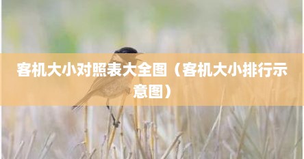 客机型号按大小排行照片（客机大小比例图）