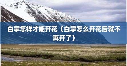白掌怎样才能开花（白掌怎么开花后就不再开了）