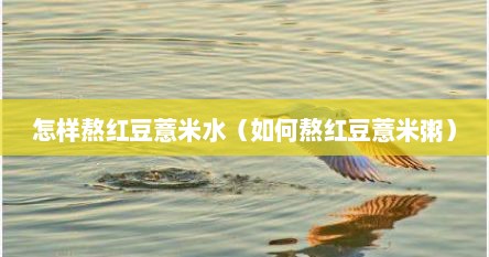 怎样熬红豆薏米水（如何熬红豆薏米粥）