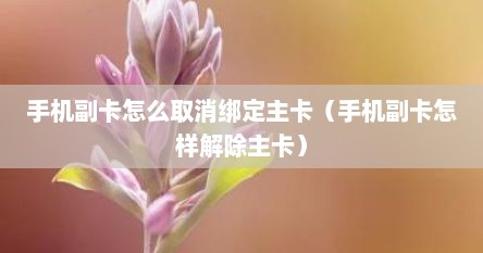 手机副卡怎么取消绑定主卡（手机副卡怎样解除主卡）