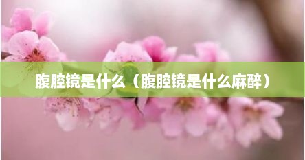腹腔镜是什么（腹腔镜是什么麻醉）
