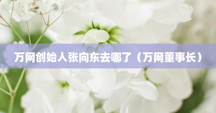 万网创始人张向东去哪了（万网董事长）