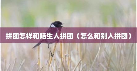 拼团怎样和陌生人拼团（怎么和别人拼团）