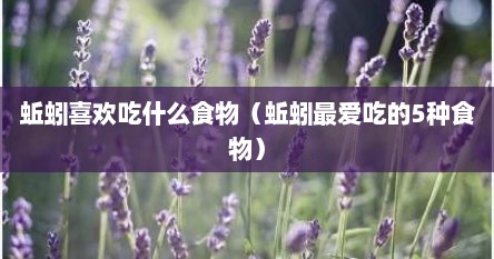 蚯蚓喜欢吃什么食物（蚯蚓最爱吃的5种食物）