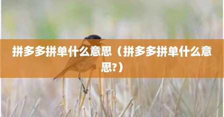 拼多多拼单什么意思（拼多多拼单什么意思?）