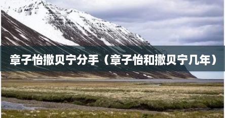 章子怡撒贝宁分手（章子怡和撒贝宁几年）