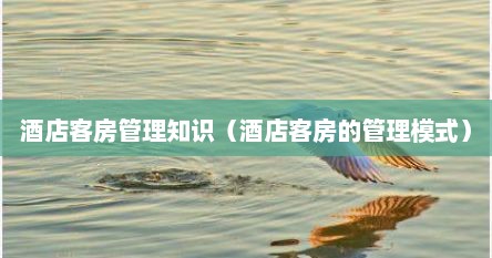 酒店客房卫生精细化管理流程（客房主管怎样才能管理好一个客房）