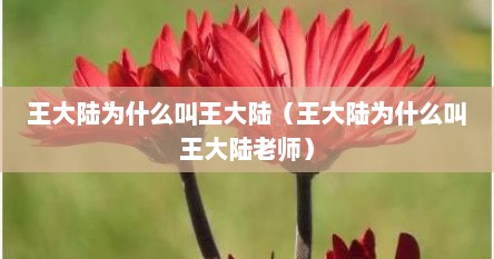王大陆为什么叫王大陆（王大陆为什么叫王大陆老师）